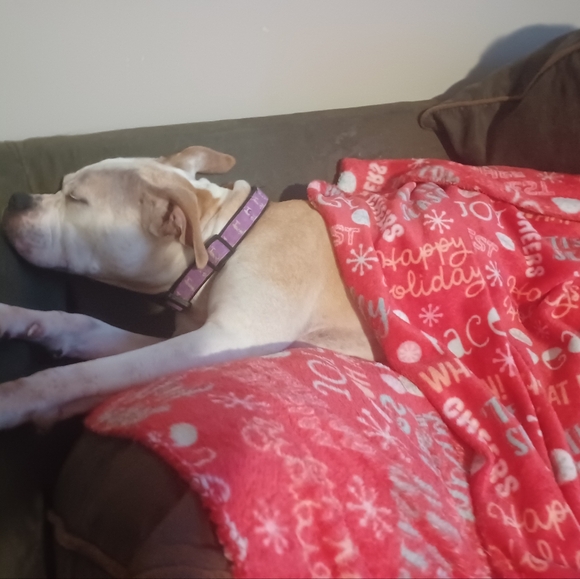 Meet your Posher, Mary - Picture 16 of 16